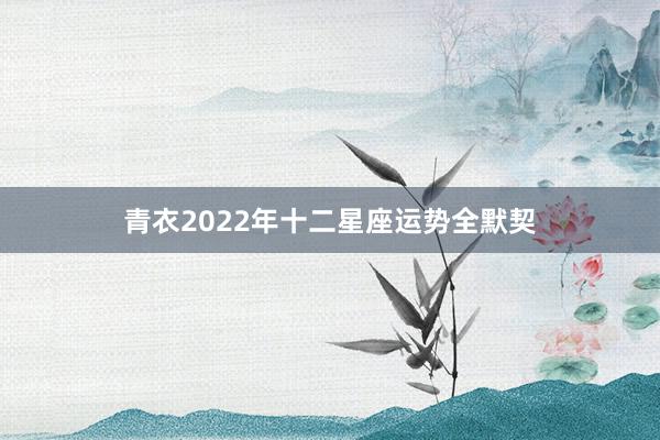 青衣2022年十二星座运势全默契