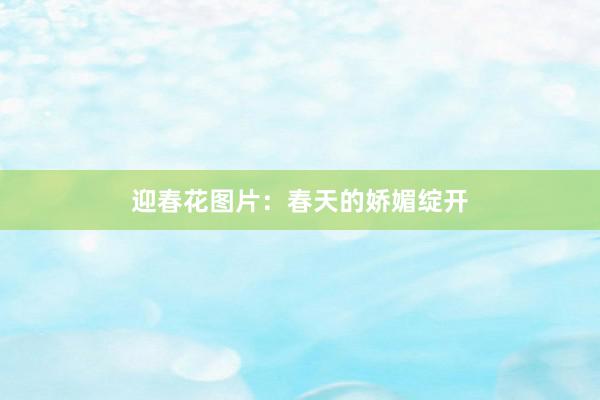 迎春花图片：春天的娇媚绽开