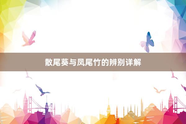 散尾葵与凤尾竹的辨别详解